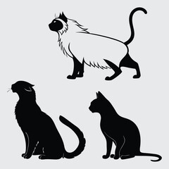 Deferent cat breed image silhouette vector art and illustration