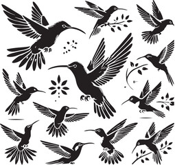 Black Color Hummingbird Silhouette Vector Illustration, Solid White Background. minimal vector design