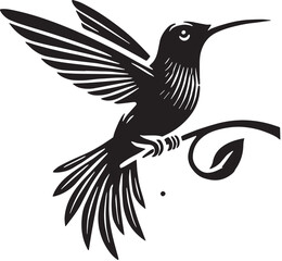 Black Color Hummingbird Silhouette Vector Illustration, Solid White Background. minimal vector design