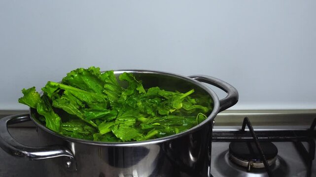 Turnip greens are being placed in a stainless steel pot on a gas stove to be cooked following the traditional recipe of orecchiette con le cime di rape, an italian traditional dish