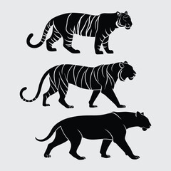 Deferent tiger breed image silhouette vector art and illustration
