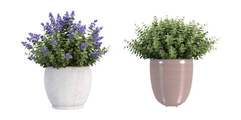 Collection of beautiful plants in ceramic pots isolated on transparent background. 3D rendering