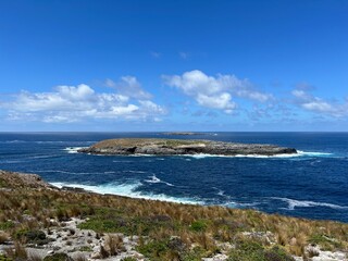 admirals arch in Kangaroo Island, near South Australia, is a nature haven known for wildlife like kangaroos, seals, and koalas, plus rugged cliffs, beaches, Flinders Chase National Park, and Seal Bay.