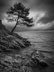 black-and-white image, its strong form accentuated by the soft ripples of the water and the overcast sky