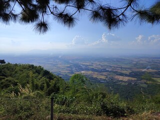 Fototapeta premium trees on the mountain view