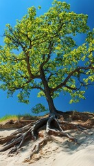 Realistic image of a vibrant green tree with exposed roots on a sandy dune beneath a blue sky