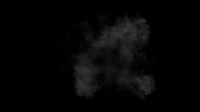 Shockwave smoke explosion. Steam or dust wave animation. Alpha channel is embedded