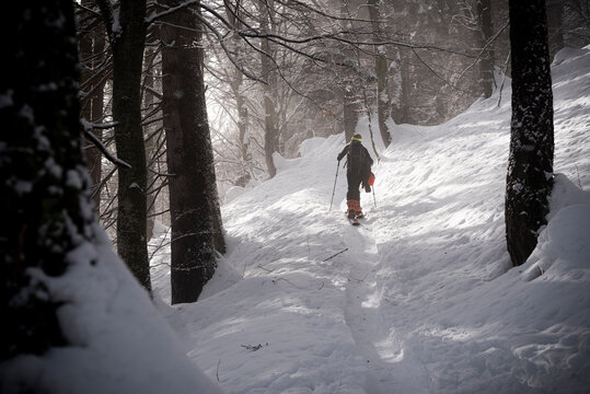Splitboarding in the woods of Domobianca 
