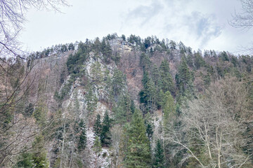A frosty winter hike to Tomasovsky view, a stunning rock formation offering breathtaking vistas in Slovensky Raj National Park, Slovakia