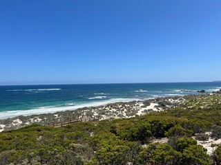 Seal bay in Kangaroo Island, near South Australia, is a nature haven known for wildlife like kangaroos, seals, and koalas, plus rugged cliffs, beaches, Flinders Chase National Park, and Seal Bay.