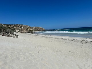 Seal bay in Kangaroo Island, near South Australia, is a nature haven known for wildlife like kangaroos, seals, and koalas, plus rugged cliffs, beaches, Flinders Chase National Park, and Seal Bay.
