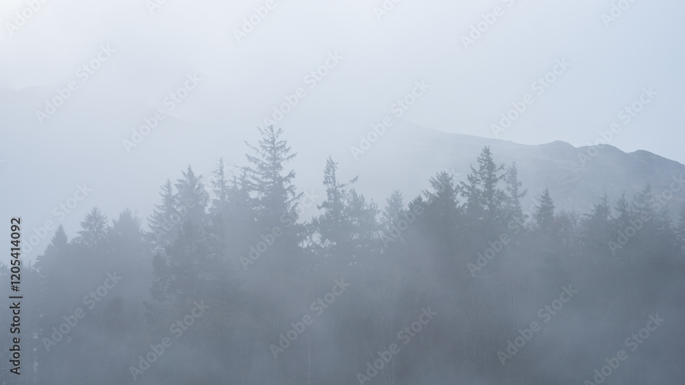 Poster Absolutely stunning dramatic atmospheric landscape image of Derwentwater during foggy sunrise in Autumn