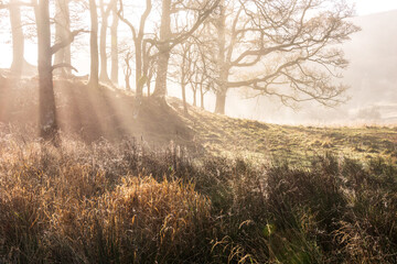 Stunning dramatic atmospheric sunrise landscape image of foggy morning at Elter Water around River Brathay in Lake District