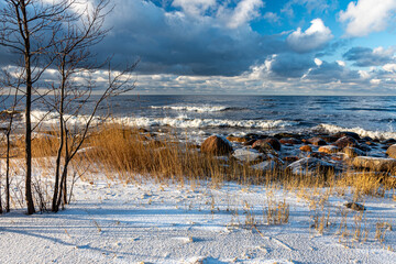 winter landscape with the seashore, backlight, windy winter day, dark cumulus clouds, Baltic Sea,...