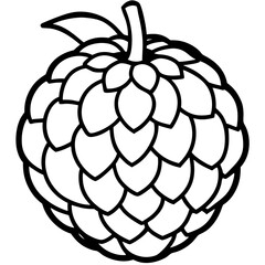 Vibrant Balsam Apple Vector Graphic