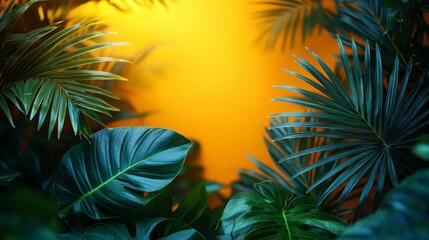 Obraz premium Tropical leaves in warm golden sunlight