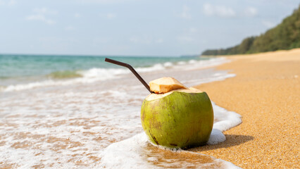 ripe coconut cocktail on the beach by the sea