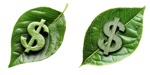 Leaves with dollar symbols, symbolizing the connection between nature and finance.