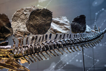 Detail of prehistoric stegosaurus dinosaur tail © Zsolt Biczó