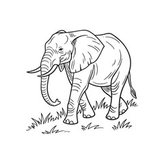 elephant pencil drawing vector art