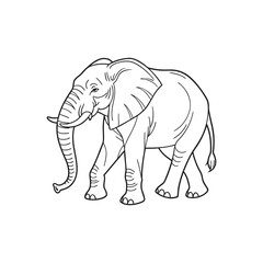 elephant pencil drawing vector art