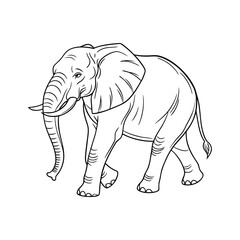 elephant pencil drawing vector art