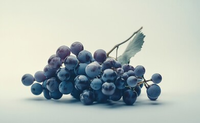 Close-up of a bunch of ripe dark grapes with water droplets on a light background.