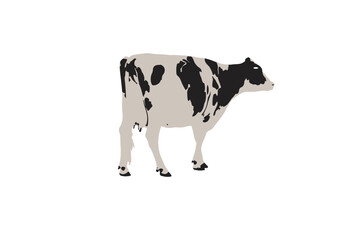 Set of cow silhouettes isolated on a white background, Vector illustration.