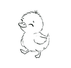Adorable Duckling Illustration in Black and White Line Art Drawing for Coloring and Kids' Creative Activities