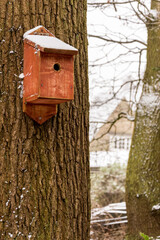 Bird house on tree trunk