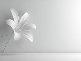 A minimalist white flower against a light background, emphasizing simplicity and elegance.