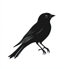 Obraz premium Minimalist black bird illustration perfect for nature-themed designs and projects, showcasing elegance and simplicity in avian art suitable for various applications and contexts