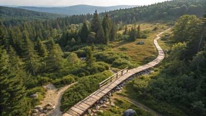 Elevated Wooden Pathway Through Forested Hills and Meadows, Serene Hiking Trail with Scenic Views, Nature Landscape for Adventure, Relaxation, and Eco-Tourism
