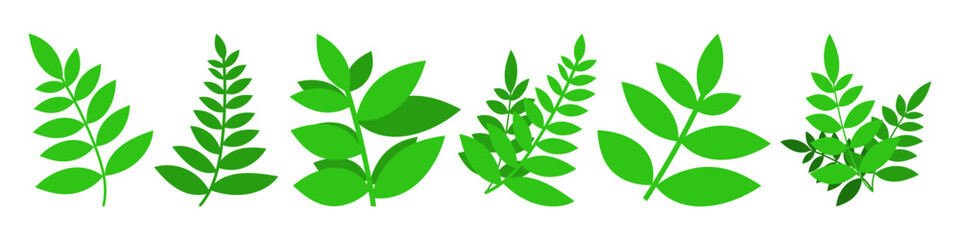 Set of branches with leaves. Cartoon green leaves illustration for design and decoration. Vector isolated on white background.