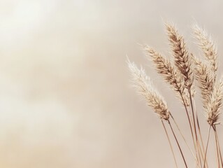 Obraz premium A close-up of golden wheat stalks against a soft, blurred background.