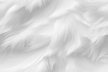 Fototapeta premium seamless pattern of white feathers