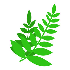Branch with leaves. Cartoon green leaves illustration for design and decoration. Vector isolated on white background.