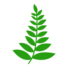 Branch with leaves. Cartoon green leaves illustration for design and decoration. Vector isolated on white background.