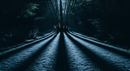 Fototapeta premium Dancing Shadows Under the Moonlight