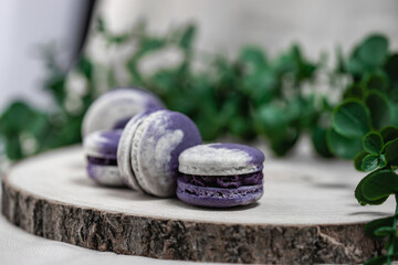 Unique and colorful macarons on a bright background
