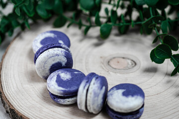 Unique and colorful macarons on a bright background