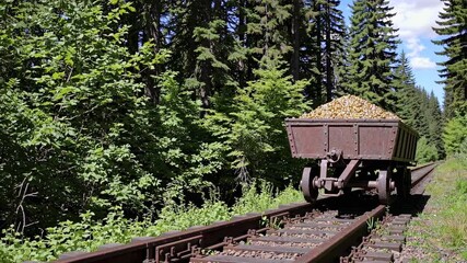 Rusty mining cart transporting gold ore along narrow gauge railway track through lush green forest, representing historical gold mining operations and industrial heritage - Powered by Adobe