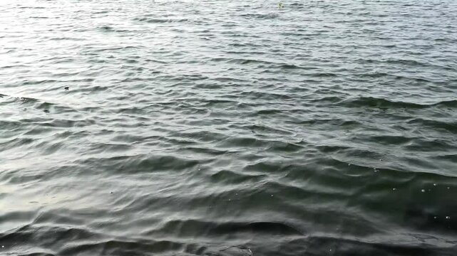 Ripples in the lake of Vembanad at Thanneermukkam, Kuttanad, Alappuzha, Kerala, India