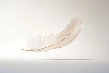 Pure Serenity: A Tranquil Floating Feather on a Serene White Background