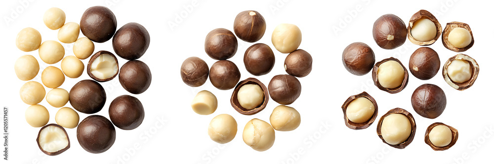Poster collection of elegant arrangement of macadamia nuts, shelled and unshelled creating a balanced compo