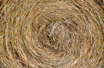 Hay bales. Hay bales are stacked on the field in large stacks. Harvesting in agriculture. High quality photo