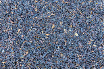 Close-up of dried black tea plant leaves, tea leaf background