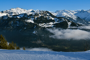 Swiss Alps as seen near Turren