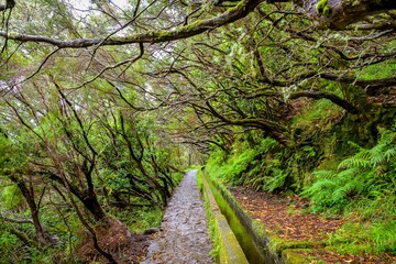 Levada das 25 Fontes walking trail