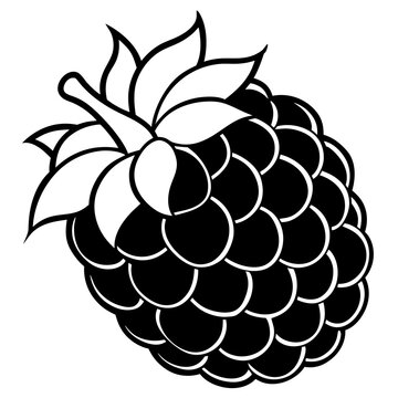 black and white blackberry fruit clip art preview